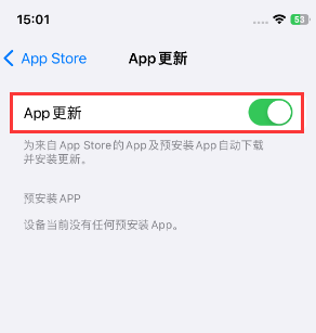 莱州苹果15维修中心如何让iPhone15APP自动更新